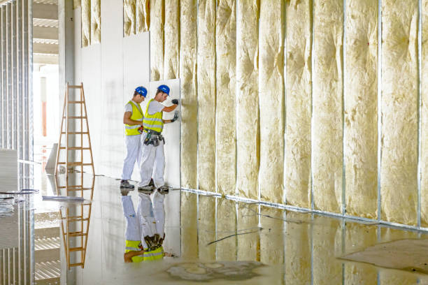 Types of Insulation We Offer in Brice Prairie, WI